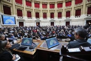 La oposición avanza en Diputados con el proyecto para cambiar la ley de los DNU e insistir con el nuevo reparto del impuesto a los combustibles y los ATN imagen-4