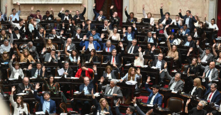 Diputados avanza con la modificación a la ley de DNU que buscar limitar el poder de Milei imagen-18
