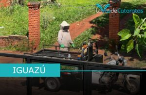 Ataque de abejas: derivaron a dos personas al Hospital Samic imagen-1