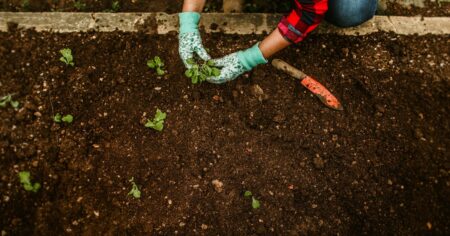 Trabajar en Estados Unidos: ¿Cuánto gana un jardinero en Florida en septiembre de 2025? imagen-12