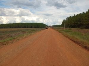 Corrientes | Empresas forestales destinan al año millonaria inversión en el mantenimiento de caminos para garantizar producción y mejorar la vida rural imagen-4