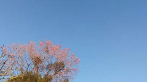 Miércoles con tiempo estable y temperaturas en ascenso en Misiones imagen-2
