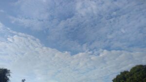 Viernes cálido e inestable en Misiones: lluvias aisladas y cielo cubierto en gran parte del territorio imagen-2