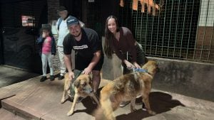 Posadas | Final feliz tras la publicación de Misiones Online: la Policía intervino para rescatar de una casa a dos perros en estado de abandono y una familia los adoptó imagen-4