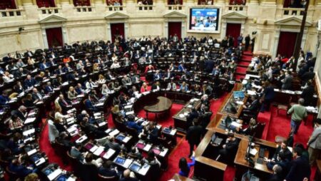 Diputados rechazó los vetos de Milei a las leyes de financiamiento universitario y del Hospital Garrahan imagen-26