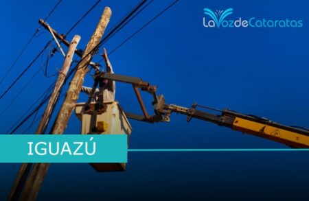 Realizaron el reemplazo de postes y tendido de nuevos conductores en Iguazú imagen-68
