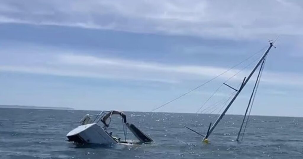 Pánico en una excursión: el video del momento en el que un grupo de orcas ataca y hunde un yate imagen-93