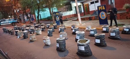Eldorado: secuestran casi una tonelada de marihuana en la ribera del río Paraná imagen-12