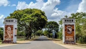 Desaparición en el Paraná: Prefectura busca a un posadeño que cayó al agua cerca de Itá Ibaté imagen-8
