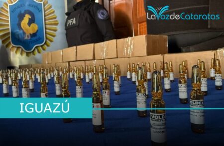 La Policía Federal secuestró fentanilo valuado en más de $400 millones imagen-70