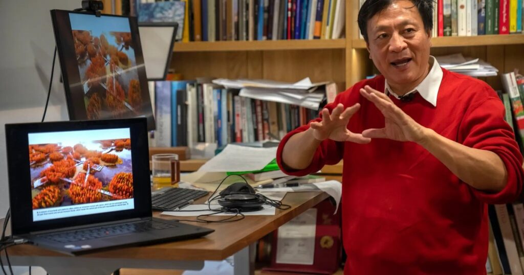 El arquitecto chino Kongjian Yu murió a los 62 años en un accidente aéreo en Brasil: fue famoso por sus "ciudades esponja" imagen-99