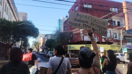 Triple femicidio: estudiantes se movilizaron en Posadas y se organiza la marcha federal del sábado imagen-28