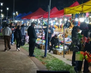 Durante tres noches Bernardo de Irigoyen celebró sus 104 años imagen-4