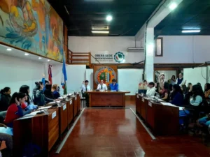 Jóvenes parlamentarios aprobaron 12 proyectos en la sesión ordinaria imagen-3