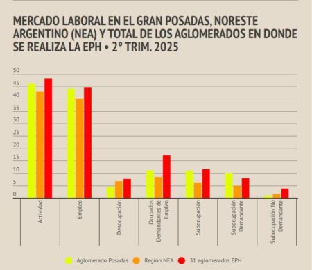 Mercado Laboral en Gran Posadas, 2do Trimestre 2025: la tasa de desocupación alcanzó el 4,3 % imagen-13