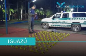 Secuestraron ketamina en la zona de frontera imagen-73