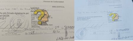 Denuncian a diputadas por el cobro irregular de pensionesno no contributivas por discapacidad imagen-7