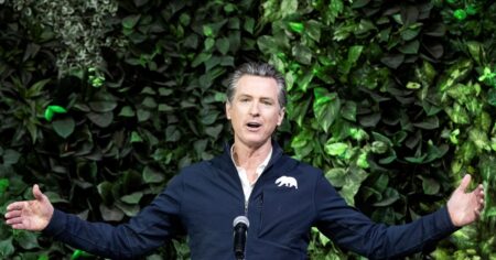 Ascenso al poder: ¿cuándo fue electo Gavin Newsom gobernador por primera vez? El inicio de su era imagen-15