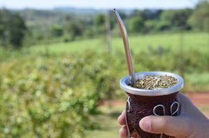 Las ventas de yerba mate se mantienen firmes en el mercado local y en las exportaciones imagen-8