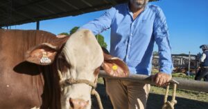 "Es un animal que puede producir carne en toda la Argentina" imagen-1