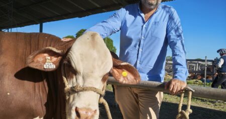 "Es un animal que puede producir carne en toda la Argentina" imagen-40