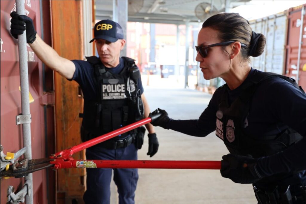 Así se mueve el ICE, la CBP y otras agencias federales en las calles de Estados Unidos: cómo reconocerlos Así se mueve el ICE, la CBP y otras agencias federales en las calles de Estados Unidos: cómo reconocerlos imagen-4