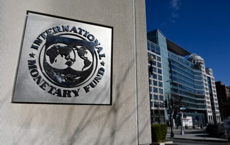 El FMI le pidió a Milei que consiga "apoyo político amplio" para sus reformas imagen-6