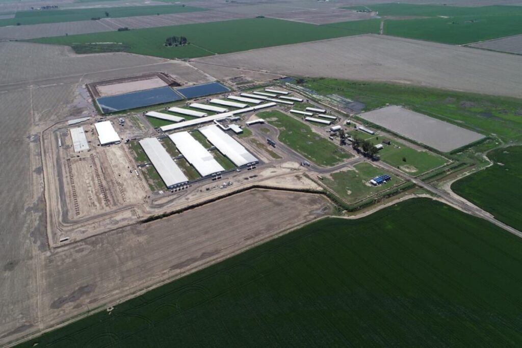 Inversión millonaria: construyeron la granja porcina más grande del país con un exitoso modelo de negocios imagen-3