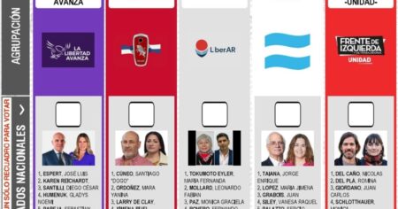 Reimpresión de boletas en Provincia: se retrasa la decisión por un error de la Junta Electoral de Buenos Aires imagen-12