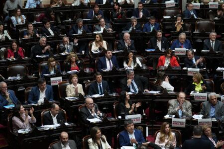 Diputados: se determinó un cronograma de reuniones para darle dictamen al proyecto de Presupuesto 2026 imagen-11