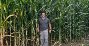 La transformación de una empresa familiar: diversificación, agregado de valor y ahora suma un cultivo atípico para la región imagen-3