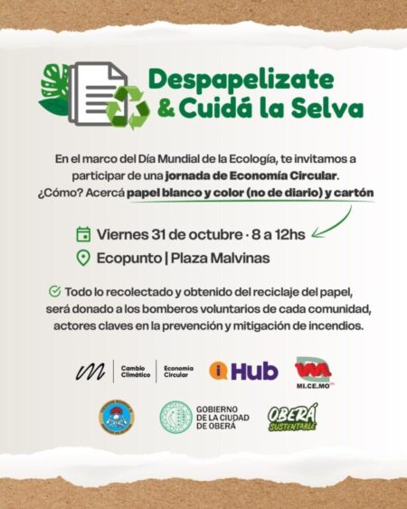 Despapelizate y cuidá la selva: una invitación a transformar residuos en ayuda imagen-65