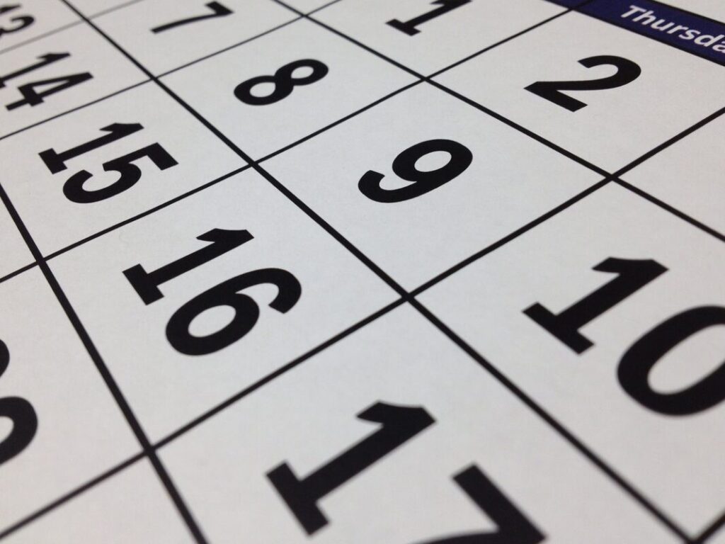 Qué día es feriado, ¿el viernes 10 o el domingo 12? imagen-5