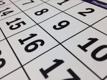 Qué día es feriado, ¿el viernes 10 o el domingo 12? imagen-8