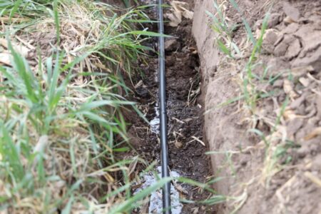 Investigación: evaluaron el riego por goteo enterrado con energía solar y el resultado fue sorprendente imagen-7