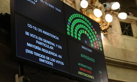 El Senado rechazó vetos de Milei al Garrahan y financiamiento universitario imagen-103