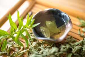 Qué dice la ciencia sobre esta planta ancestral que ayuda a aliviar el insomnio imagen-3