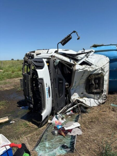 Volcó un camión con cerdos en la Ruta 7 y los vecinos se llevaron la carga imagen-8