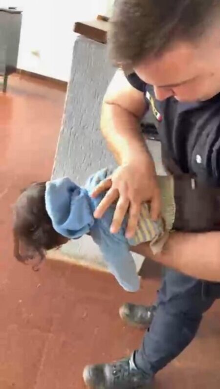 Una madre llegó desesperada a una comisaría con su bebé que no respiraba: policías le salvaron la vida Una madre llegó desesperada a una comisaría con su bebé que no respiraba: policías le salvaron la vida imagen-65
