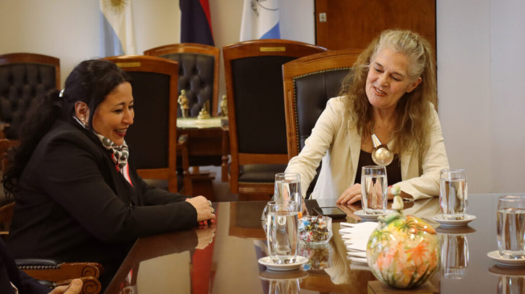 Autoridades de Gaia presentaron Invictus al Superior Tribunal de Justicia misionero imagen-5