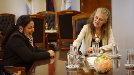 Autoridades de Gaia presentaron Invictus al Superior Tribunal de Justicia misionero Autoridades de Gaia presentaron Invictus al Superior Tribunal de Justicia misionero imagen-7