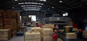 La industria de la madera y el mueble sigue en niveles bajos: no se registra reactivación en agosto imagen-7