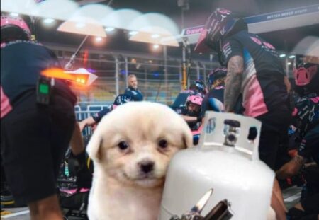 Los mejores memes de la carrera de Colapinto en Singapur imagen-7