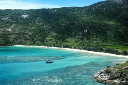 Misterio en Australia: una mujer fue “olvidada” por un crucero y apareció muerta en una isla paradisíaca horas después Misterio en Australia: una mujer fue “olvidada” por un crucero y apareció muerta en una isla paradisíaca horas después imagen-14