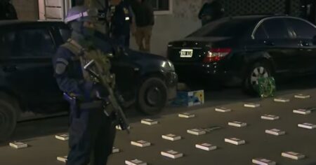 Secuestraron más de 260 kilos de cocaína en el GBA y la Ciudad: el cargamento supera los 1,5 millones de dólares imagen-8