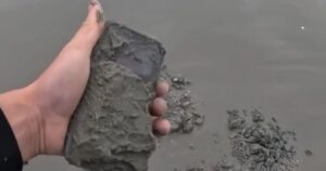 Encontró un iPhone enterrado en una playa y logró ubicar a su dueña: «Pensé que nunca más lo volvería a tener» Encontró un iPhone enterrado en una playa y logró ubicar a su dueña: "Pensé que nunca más lo volvería a tener" imagen-3
