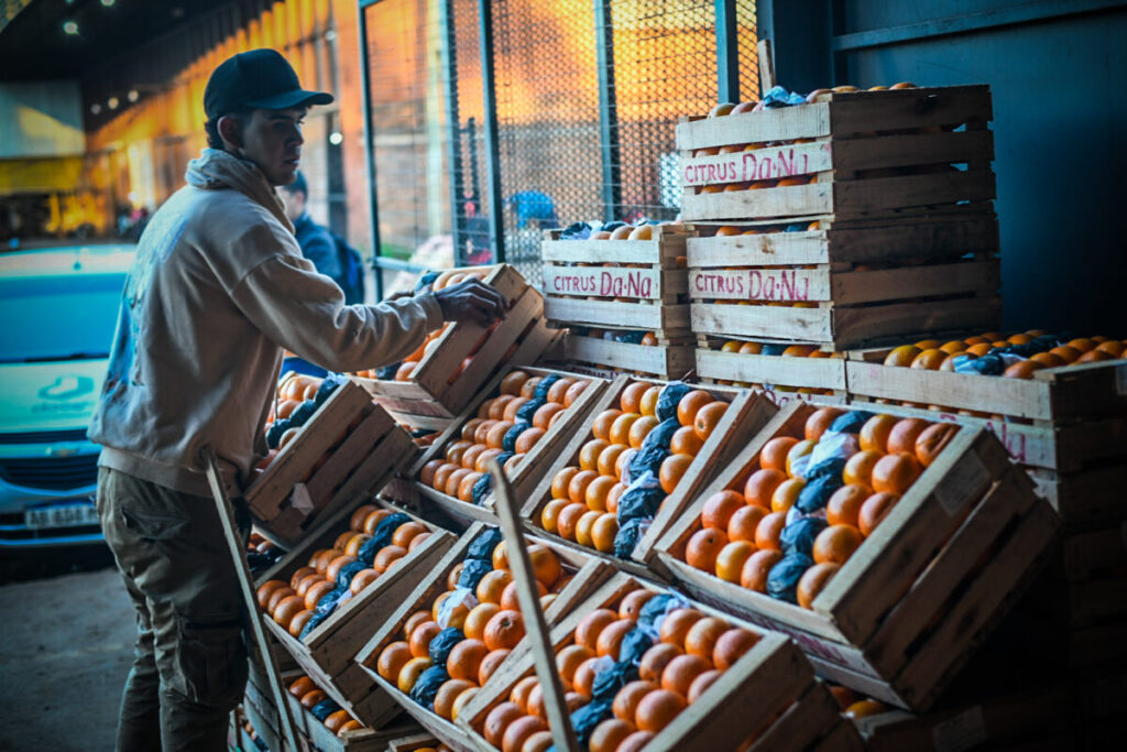 Nuevas cámaras de frío en el Mercado Central permiten a los productores conservar mejor sus alimentos y vender más imagen-4