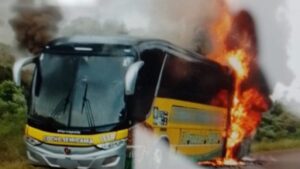 Pozo Azul: colectivo se incendió sobre la Ruta 17 y no hubo heridos imagen-1