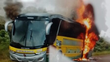 Pozo Azul: colectivo se incendió sobre la Ruta 17 y no hubo heridos imagen-4