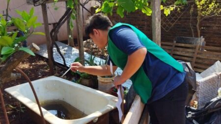 Advierten que persisten criaderos de mosquitos en Posadas imagen-6